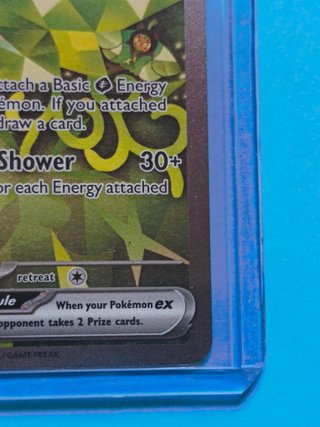 TWM 211 Teal Mask Ogerpon ex(SIR) NM ING TwilightM