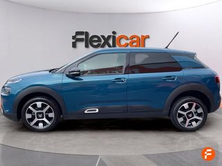 Citroën C4 Cactus BlueHDi 100 S&S Shine