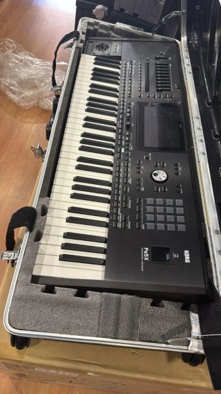 Korg Pa5x 61 Teclado Profesional