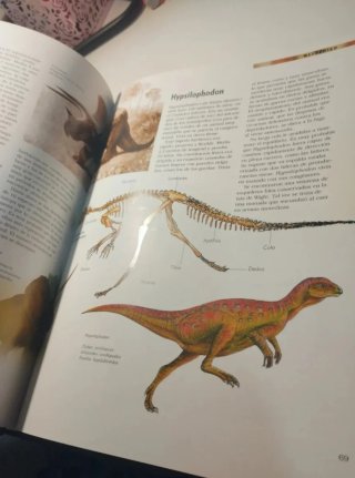 Libro dinosaurios (escucho oferta)