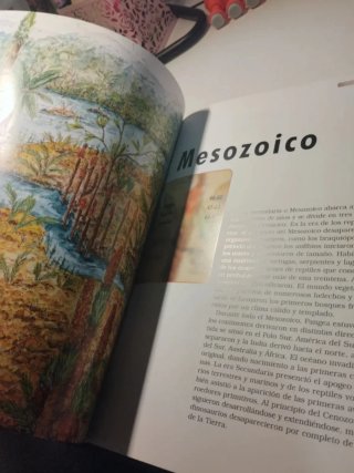 Libro dinosaurios (escucho oferta)