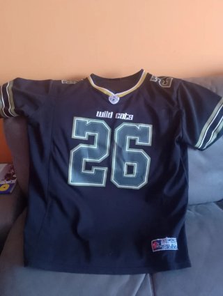 Camiseta Wild Cats #26