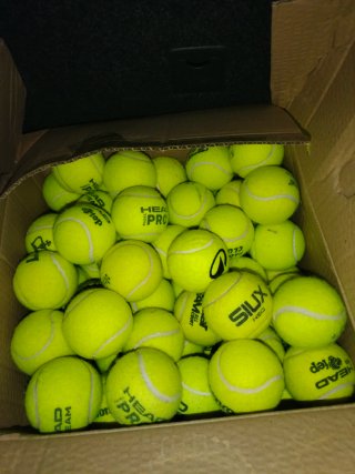 50 Pelotas de Pádel