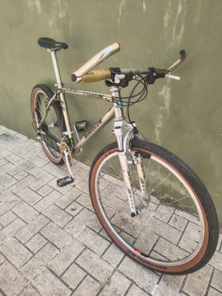 Wheeler E-II Titanium Bicicleta Montaña