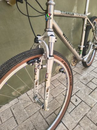 Wheeler E-II Titanium Bicicleta Montaña