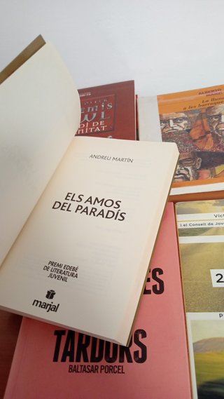 Lote 7 libros lectura instituto catalán juvenil
