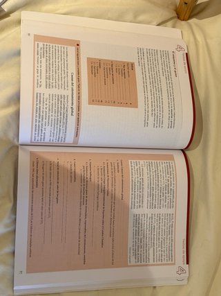 Lengua castellana y literatura PAU