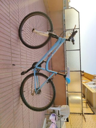 Bicicleta de Montaña/Paseo Azul