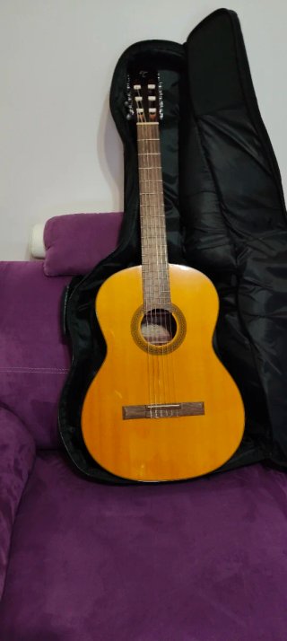 Chitarra Takamine GC1-NAT