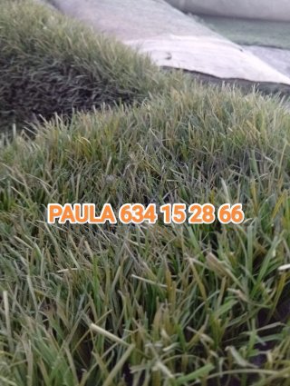 Venta de césped artificial