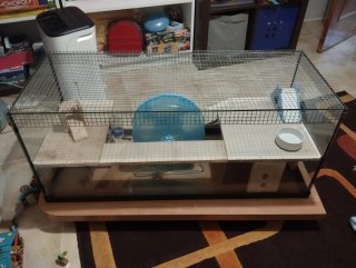 Jaula XXL Hámster+ Accesorios.MEDIDAS 100*40*40 cm