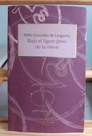 Bajo el ligero peso de la nieve - Pablo González d