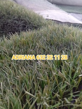 Venta de césped artificial