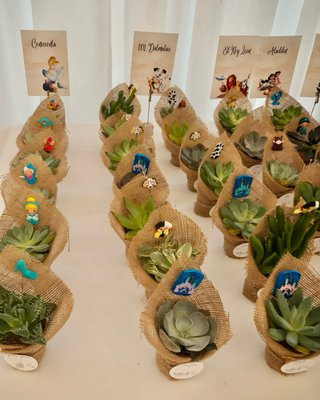 Plantas Suculentas con Adornos