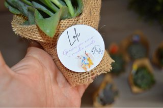 Plantas Suculentas con Adornos
