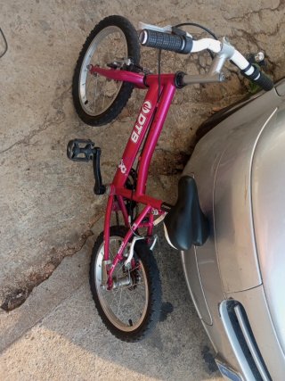 Bicicleta infantil rosa DTB