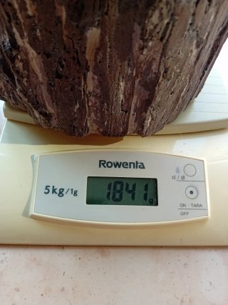 Vaso cemento effetto corteccia h 12