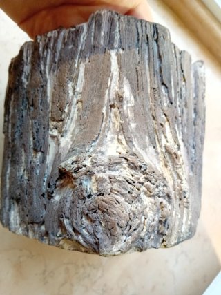 Vaso cemento effetto corteccia h 12