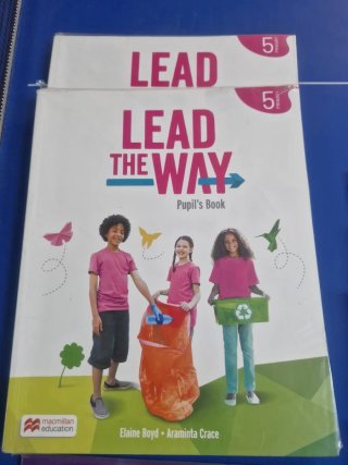 Lote de 14 libros de santillana para 5 de primaria