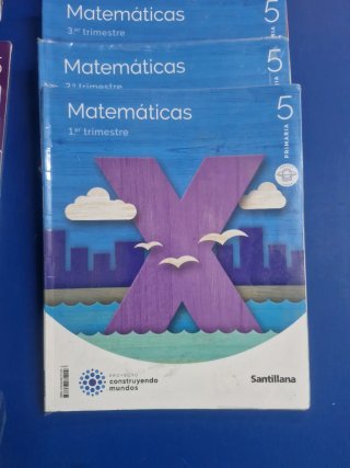 Lote de 14 libros de santillana para 5 de primaria