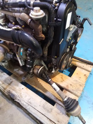Motor PSA 2.0 HDI 90CV RHY Completo