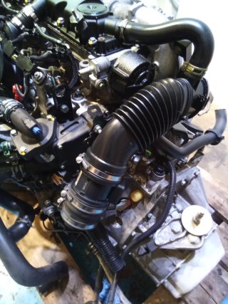 Motor PSA 2.0 HDI 90CV RHY Completo