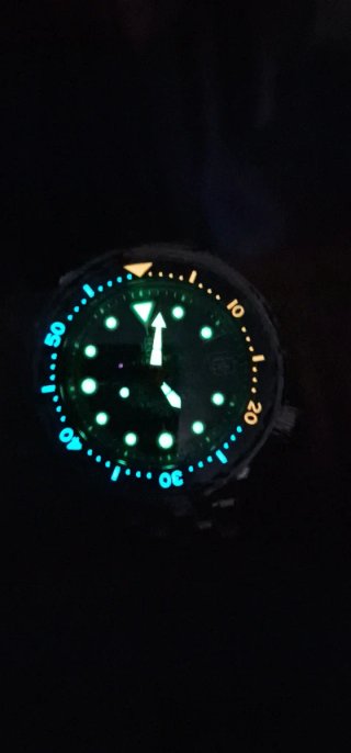 Reloj Steeldive Automático homenaje seiko