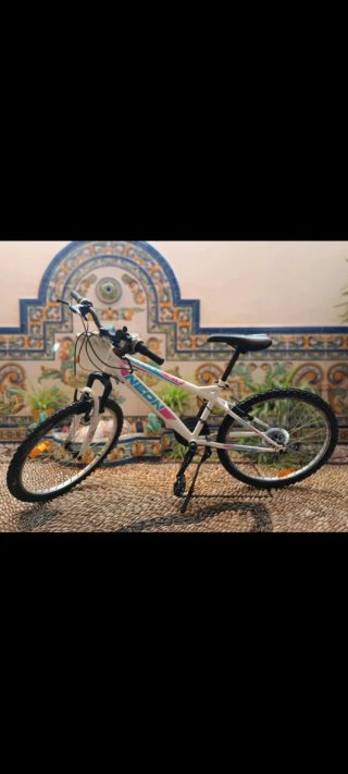 Bicicleta Neon Blanca