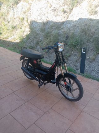 Escape Derbi Variant Original