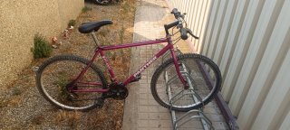 Bicicleta Panther Morada