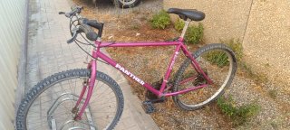 Bicicleta Panther Morada