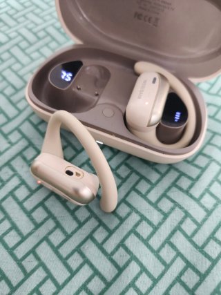 Auriculares INSISSAIN Beige/Marrón