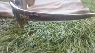 Occhiali da sole D&G marroni e gialli