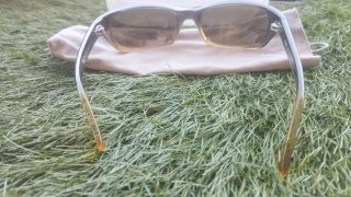 Occhiali da sole D&G marroni e gialli
