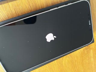iPhone 12 Pro Max, 256GB.