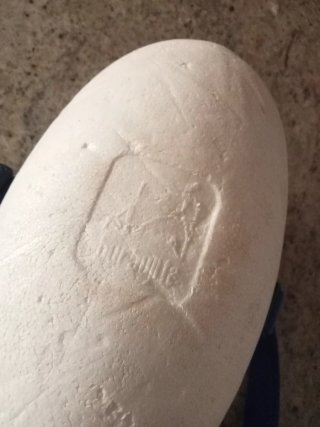 Burbuja de natación tamaño único.