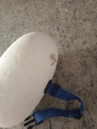 Burbuja de natación tamaño único.