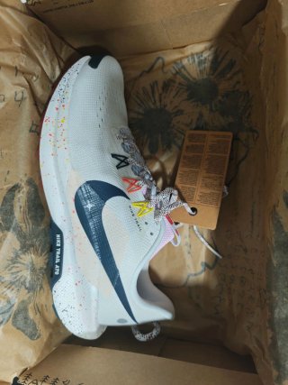 Zapatillas Nike Pegasus Trail 5 Multicolor 42,5