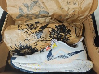 Zapatillas Nike Pegasus Trail 5 Multicolor 42,5