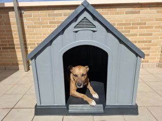 Caseta para perro grande
