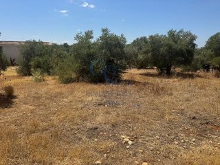 Terreno en venta en Montequinto en Dos Hermanas