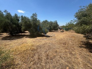 Terreno en venta en Montequinto en Dos Hermanas