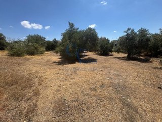 Terreno en venta en Montequinto en Dos Hermanas