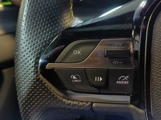 Peugeot 308 BHDI 130CV GT EAT8