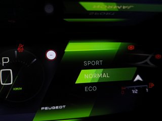 Peugeot 308 BHDI 130CV GT EAT8