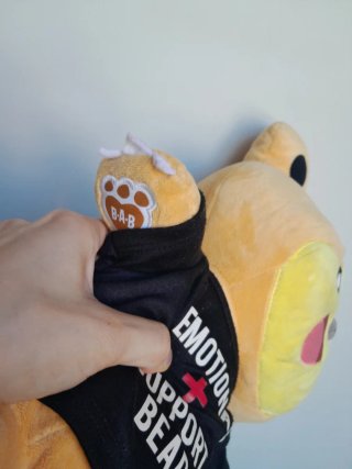 Peluche Build-A-Bear pokémon Teddiursa + T-shirt
