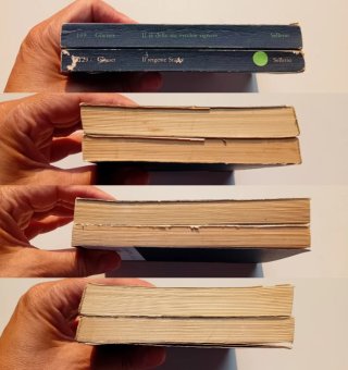 Friedrich Glauser 2 libri Sellerio