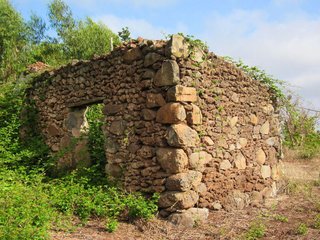Terreno en venta en Moya