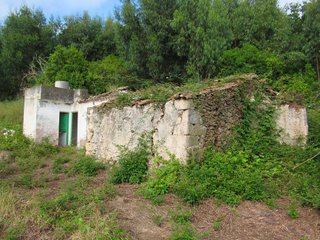 Terreno en venta en Moya