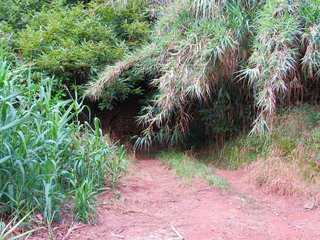 Terreno en venta en Moya